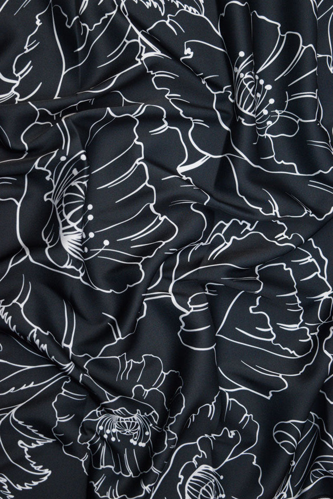 Monochrome Spring Magnolia Bloom